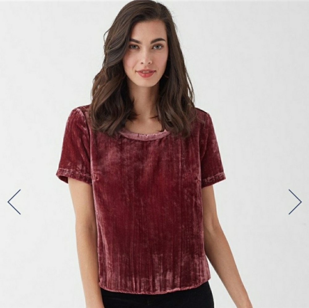 NWT SPLENDID Moonstone Velvet Top